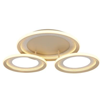 Globo - Lampa sufitowa LED/40W/230V 3000K 60,5x62,5 cm