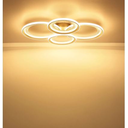 Globo - Plafon LED/50W/230V 3000K 64,5x85,5 cm