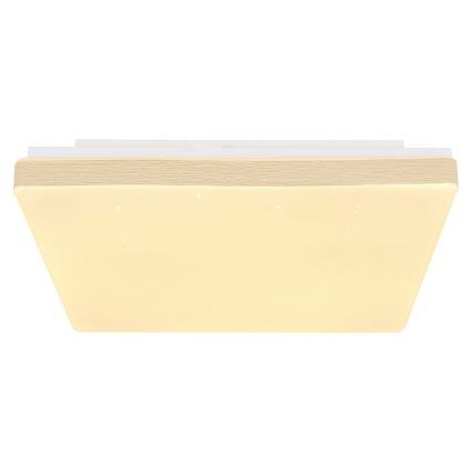 Globo - LED Plafon LED/12W/230V