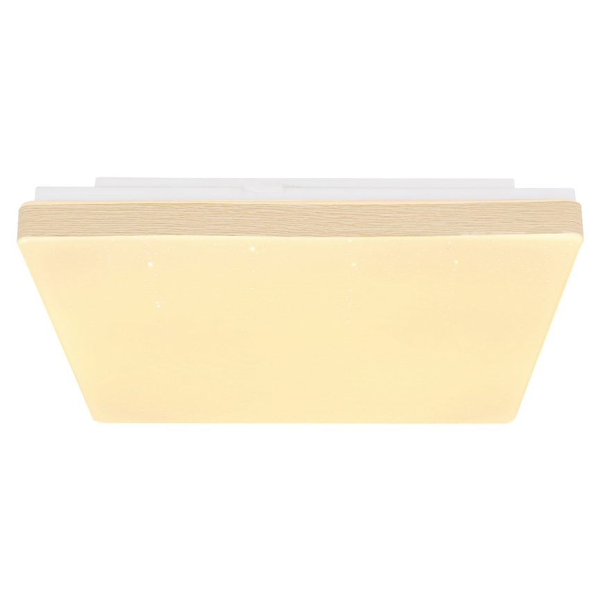 Globo - LED Plafon LED/12W/230V