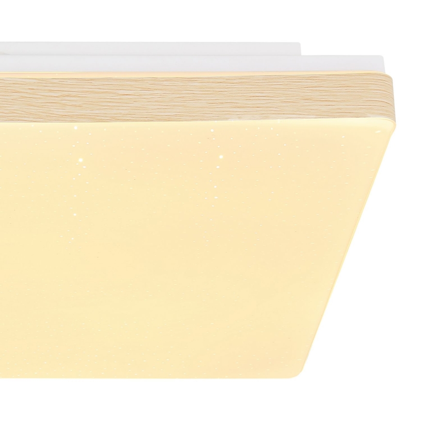 Globo - LED Plafon LED/12W/230V