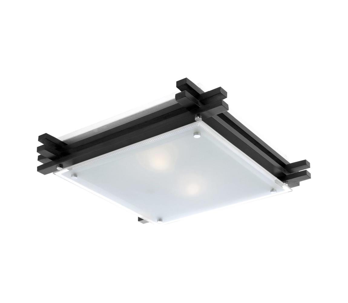 GLOBO 48324-2 - Lampa sufitowa EDISON 2xE27/60W/230V