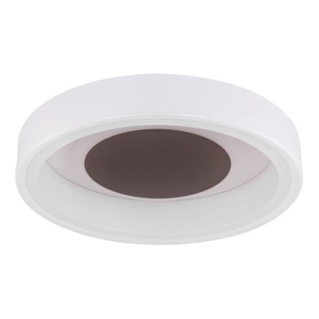 Globo 48398-24 - LED Plafon GOFFI LED/30W/230V