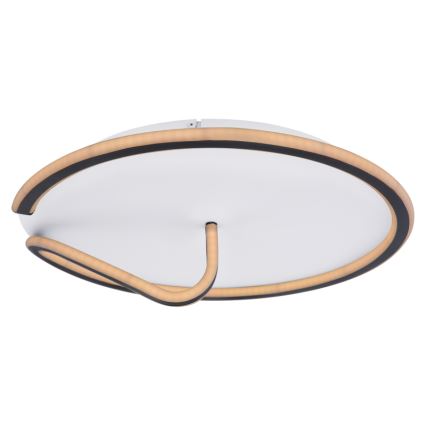 Globo - LED Plafon ściemnialny RODAN LED/50W/230V 3000-6000K + pilot zdalnego sterowania