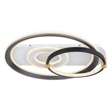 Globo 48459-46 - LED Ściemnialna lampa sufitowa ANI LED/46W/230V 2700-6000K 48x52 cm + pilot zdalnego sterowania