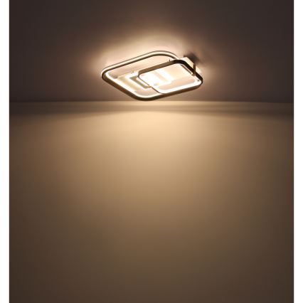 Globo 48459-48 - LED ściemnialna lampa sufitowa ANI LED/48W/230V 2700-6000K 48x52 cm + pilot zdalnego sterowania