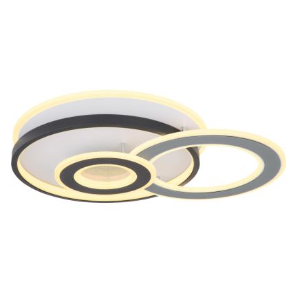 Globo 48552D4 - Lampa sufitowa BRIENNA LED/40W/230V 43x52 cm biała/szara