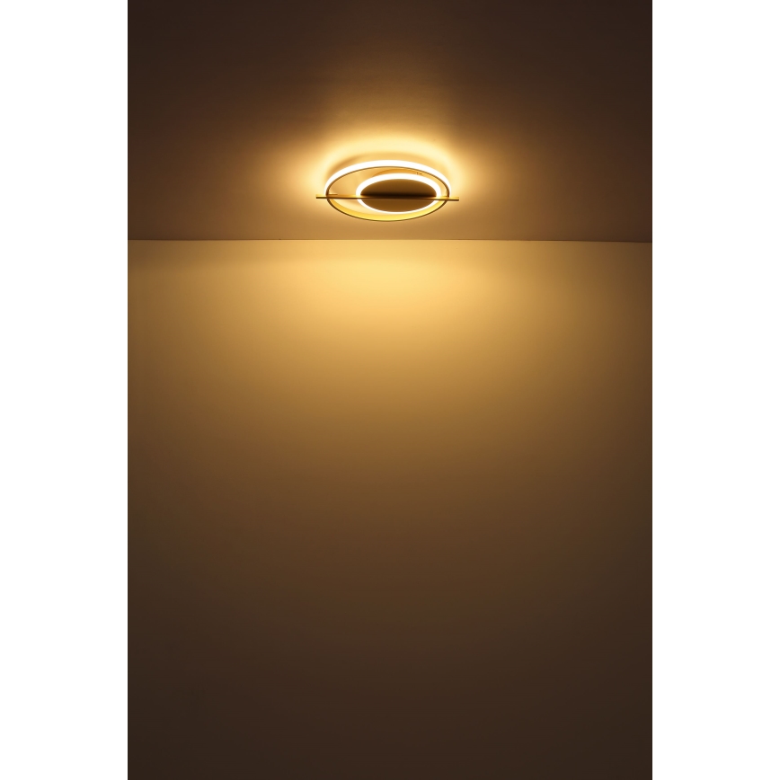 Globo - LED Plafon LED/36W/230V