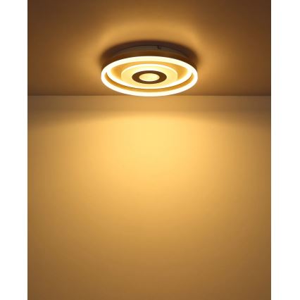 Globo - Lampa sufitowa LED/24W/230V 3000K śr. 40 cm