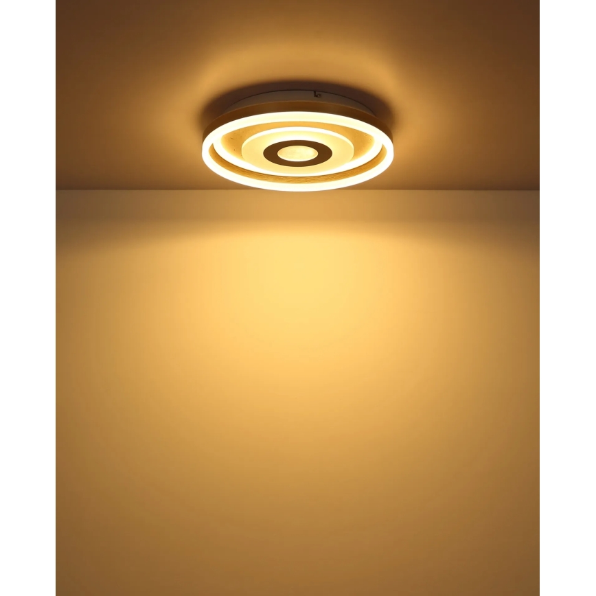 Globo - Lampa sufitowa LED/24W/230V 3000K śr. 40 cm