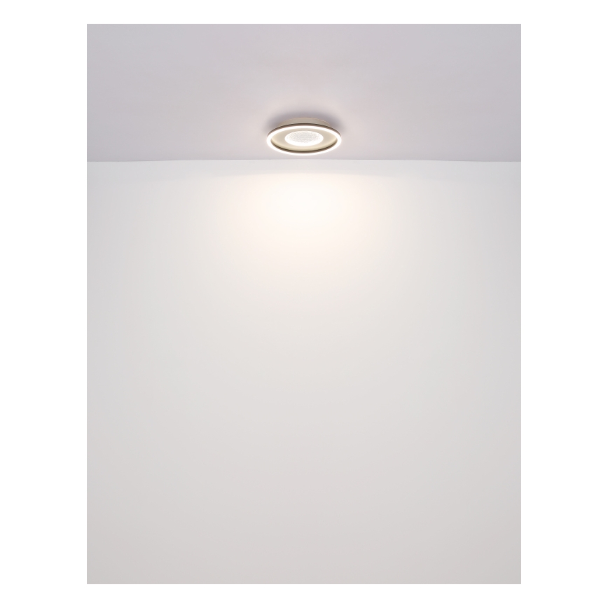 Globo - LED Plafon LED/24W/230V 2700/4500/6500K śr. 33 cm