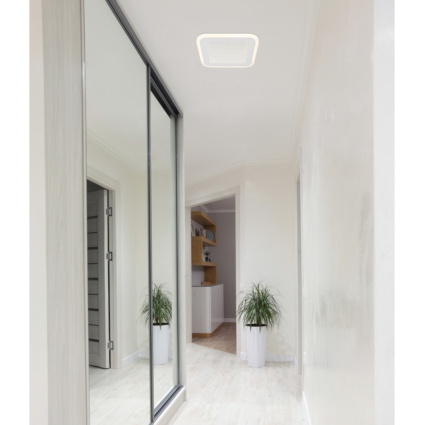 Globo - LED Plafon LED/12W/230V 4000K