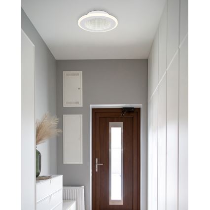 Globo - LED Plafon LED/12W/230V 4000K