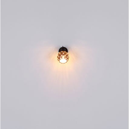 Globo - Kinkiet punktowy 1xE27/40W/230V