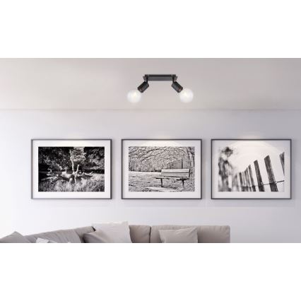 Globo - Oświetlenie punktowe 2xE27/60W/230V