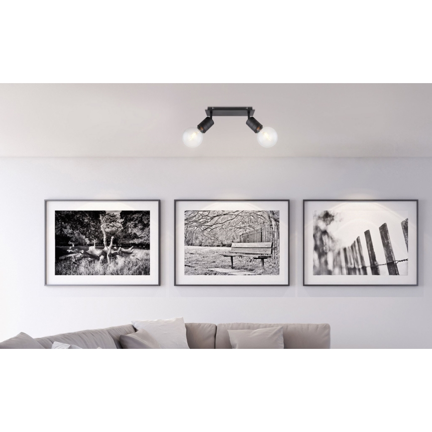 Globo - Oświetlenie punktowe 2xE27/60W/230V