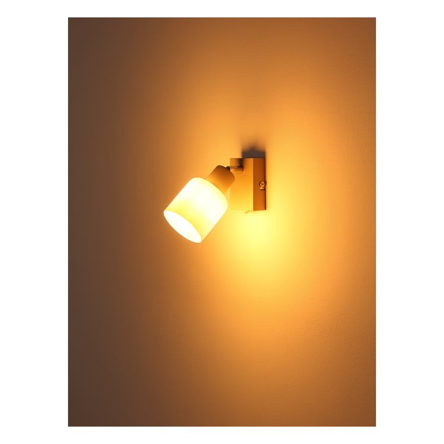 Globo - Kinkiet punktowy 1xE14/25W/230V