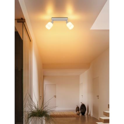 Globo - Oprawa punktowa 2xE14/25W/230V