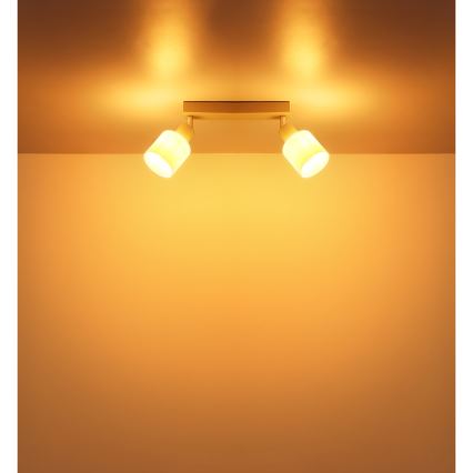 Globo - Oprawa punktowa 2xE14/25W/230V