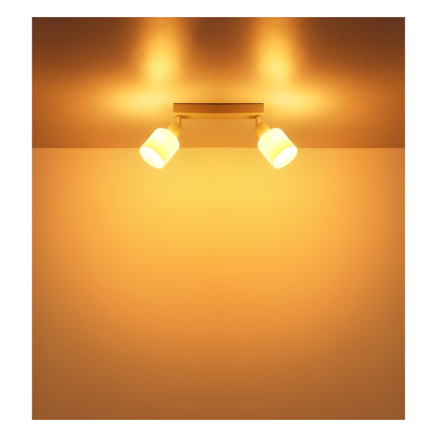 Globo - Oprawa punktowa 2xE14/25W/230V