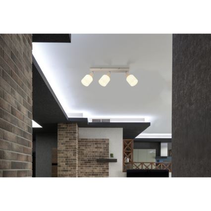 Globo - Oprawa punktowa 3xE14/25W/230V