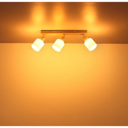 Globo - Oprawa punktowa 3xE14/25W/230V