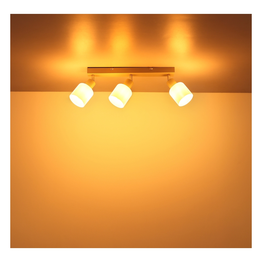 Globo - Oprawa punktowa 3xE14/25W/230V