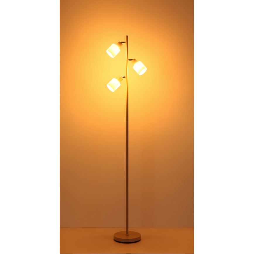 Globo - Lampa stojąca 3xE14/25W/230V