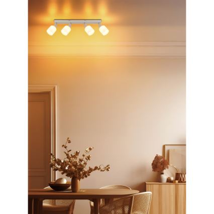 Globo - Oprawa punktowa 4xE14/25W/230V