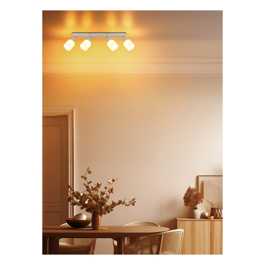 Globo - Oprawa punktowa 4xE14/25W/230V