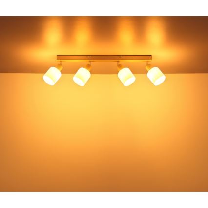 Globo - Oprawa punktowa 4xE14/25W/230V