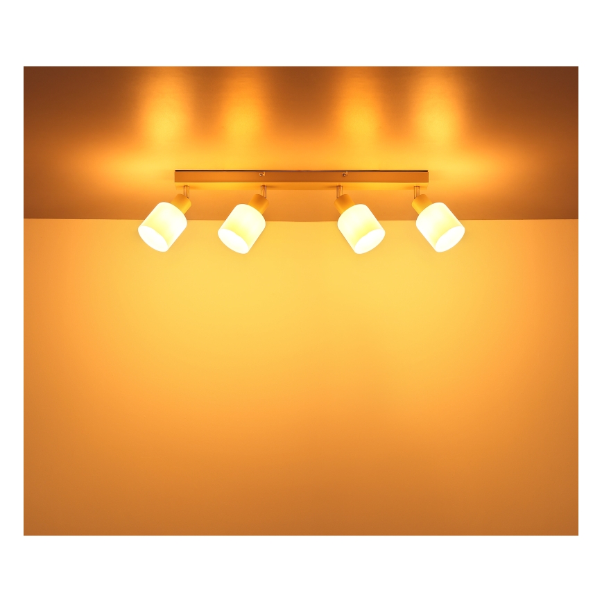 Globo - Oprawa punktowa 4xE14/25W/230V