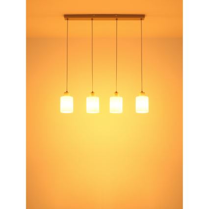 Globo - Żyrandol na lince 4xE27/40W/230V