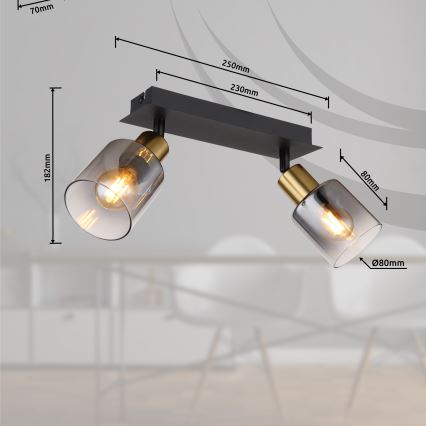 Globo - Oświetlenie punktowe 2xE14/25W/230V