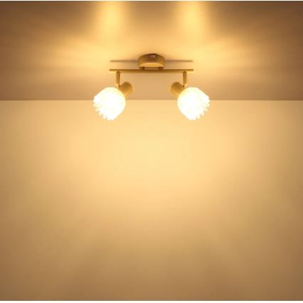 Globo - Oprawa punktowa 2xE14/40W/230V