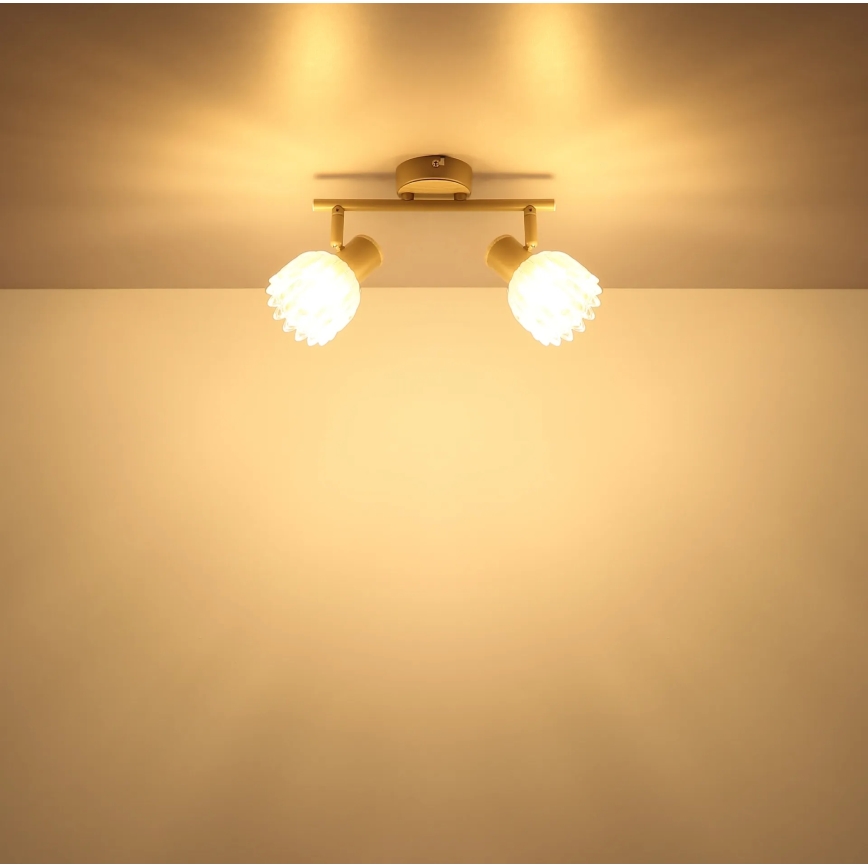 Globo - Oprawa punktowa 2xE14/40W/230V