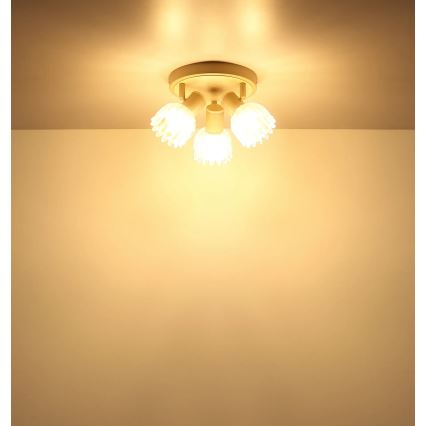 Globo - Oprawa punktowa 3xE14/40W/230V