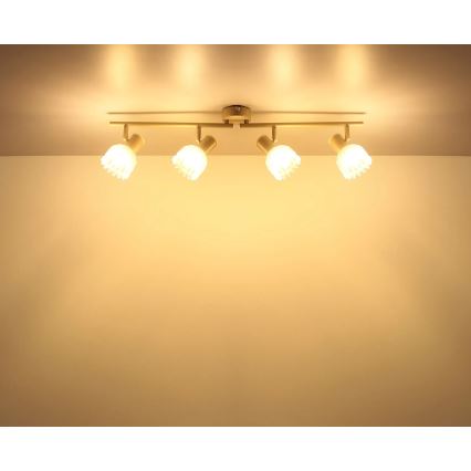 Globo - Oprawa punktowa 4xE14/40W/230V