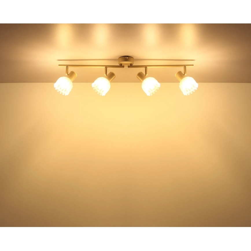 Globo - Oprawa punktowa 4xE14/40W/230V