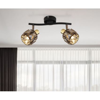 Globo - Oprawa punktowa 2xE14/40W/230V