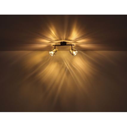 Globo - Oprawa punktowa 2xE14/40W/230V