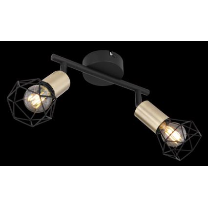 Globo - Oświetlenie punktowe 2xE14/40W/230V