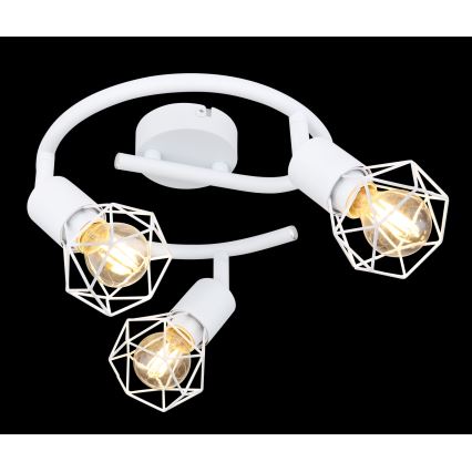 Globo - Oświetlenie punktowe 3xE14/40W/230V