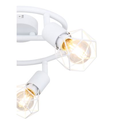 Globo - Oświetlenie punktowe 3xE14/40W/230V