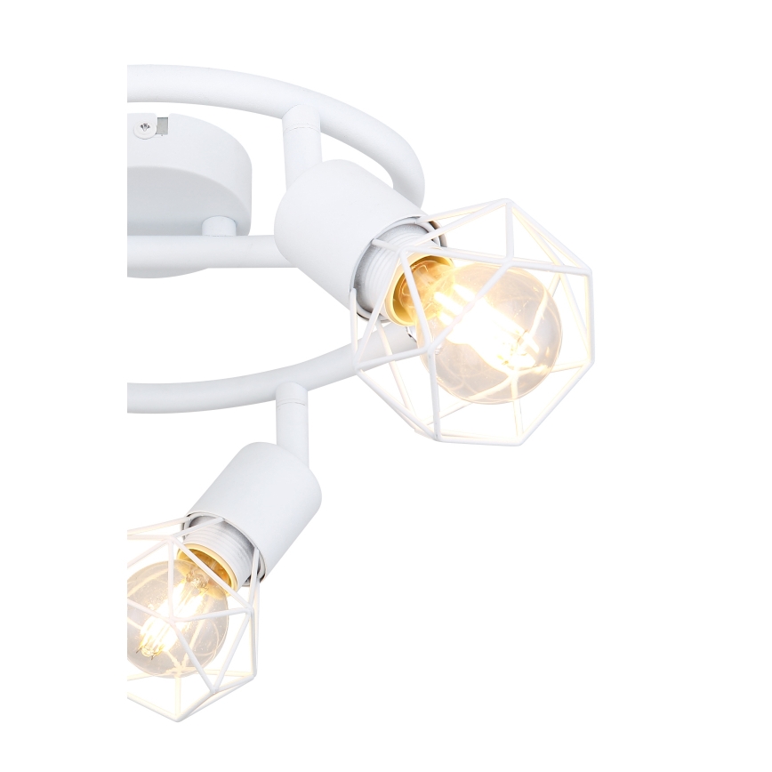 Globo - Oświetlenie punktowe 3xE14/40W/230V