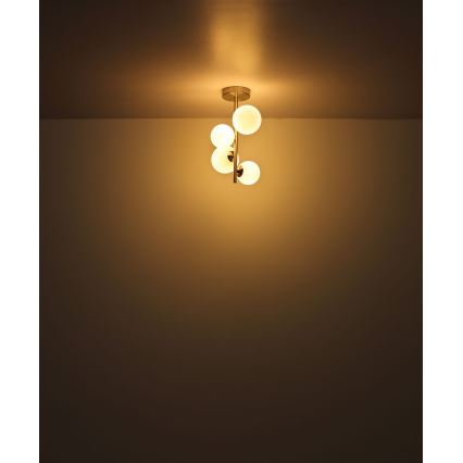 Globo - LED Żyrandol 4xG9/3W/230V matowy chrom
