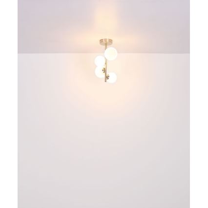 Globo - LED Żyrandol 4xG9/3W/230V matowy chrom