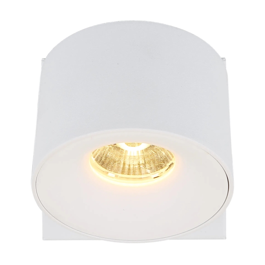 Globo - LED Kinkiet punktowy LED/6W/230V biały