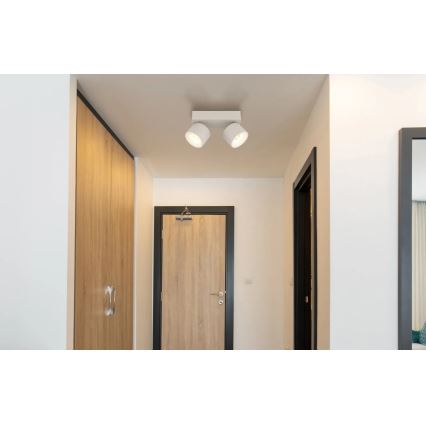 Globo - Lampa punktowa LED 2xLED/6W/230V