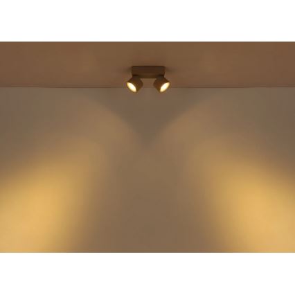 Globo - Lampa punktowa LED 2xLED/6W/230V